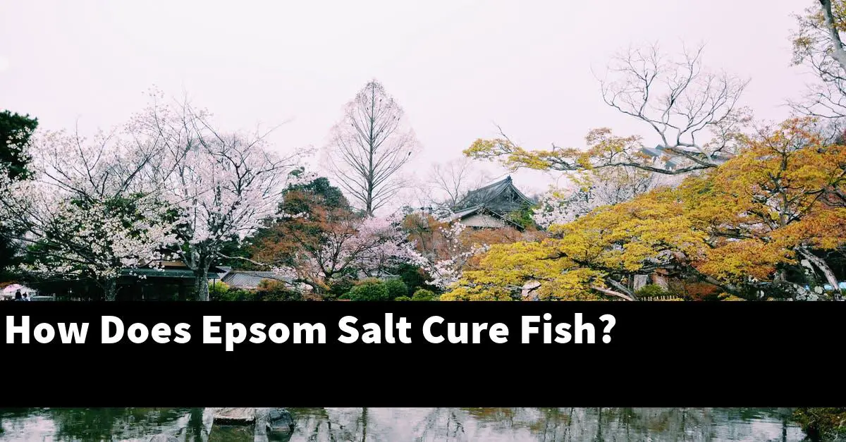 How Does Epsom Salt Cure Fish?
