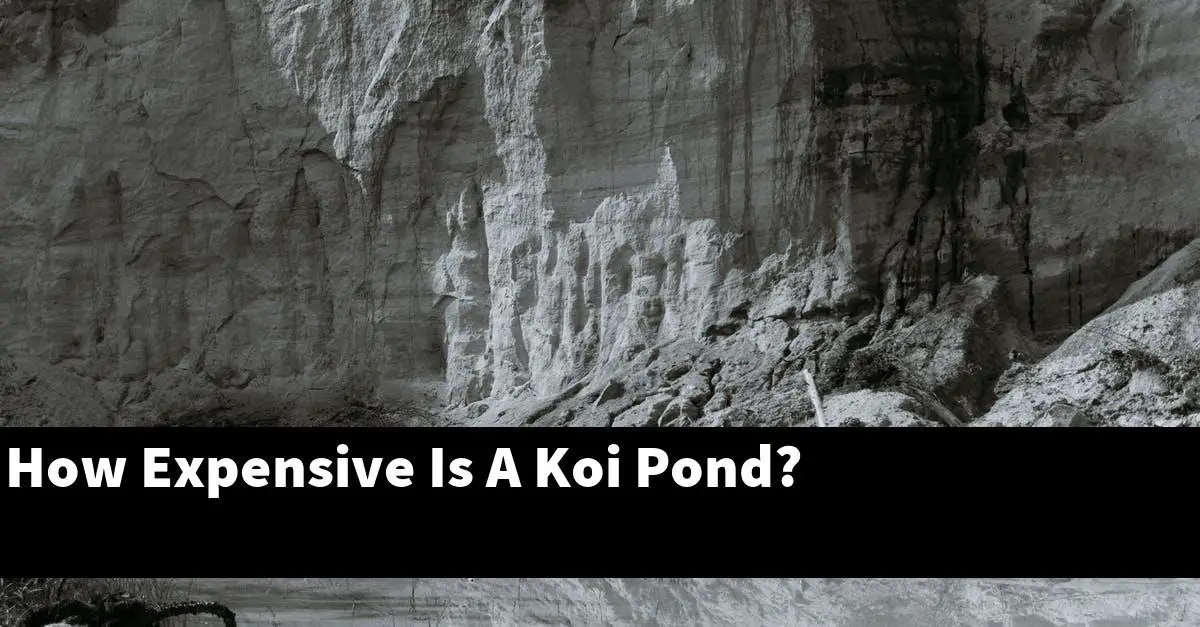How Expensive Is A Koi Pond?