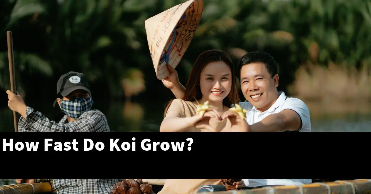 How Fast Do Koi Grow?