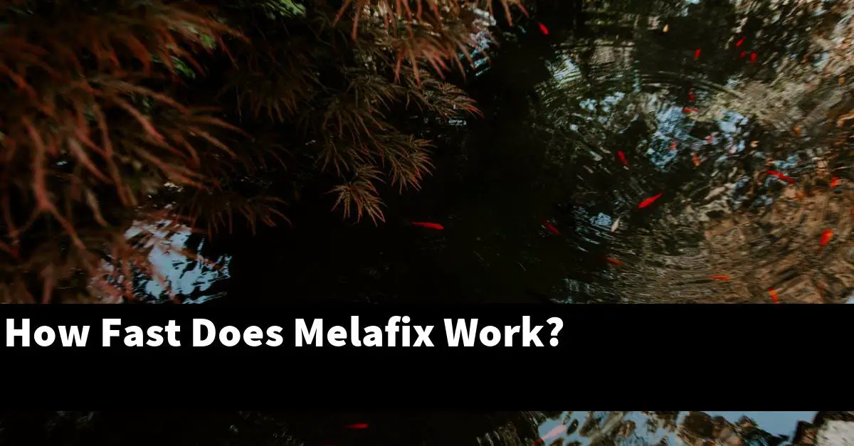 How Fast Does Melafix Work?