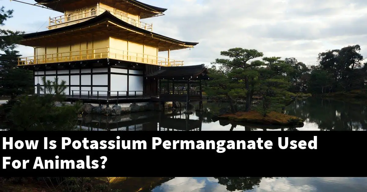 How Is Potassium Permanganate Used For Animals?