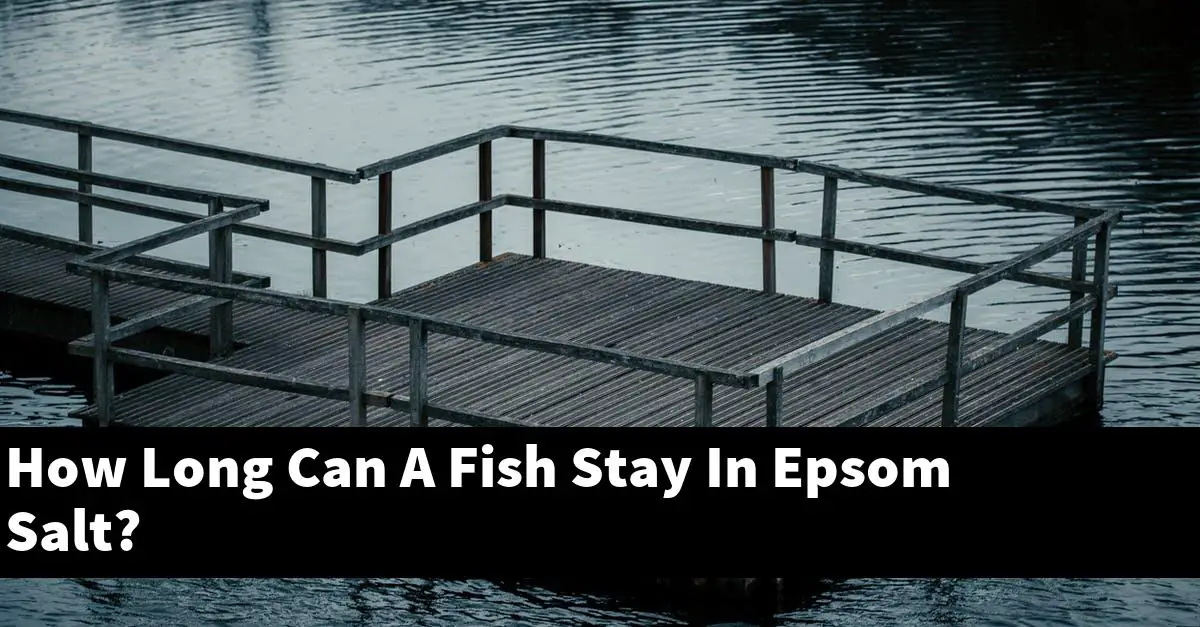 How Long Can A Fish Stay In Epsom Salt?