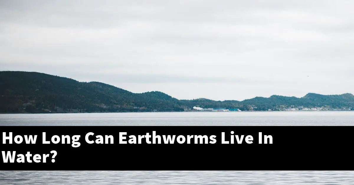 How Long Can Earthworms Live In Water?