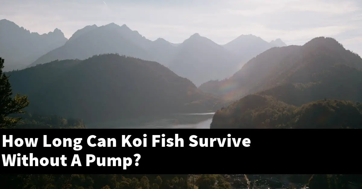 How Long Can Koi Fish Survive Without A Pump?
