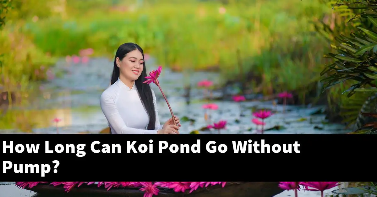 How Long Can Koi Pond Go Without Pump?