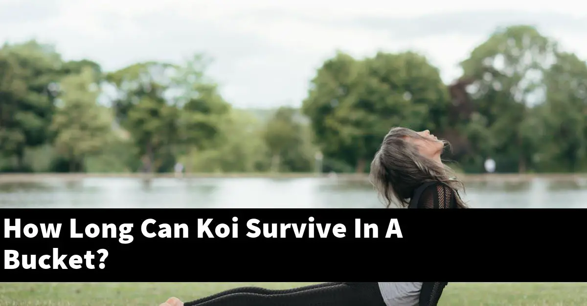 How Long Can Koi Survive In A Bucket?