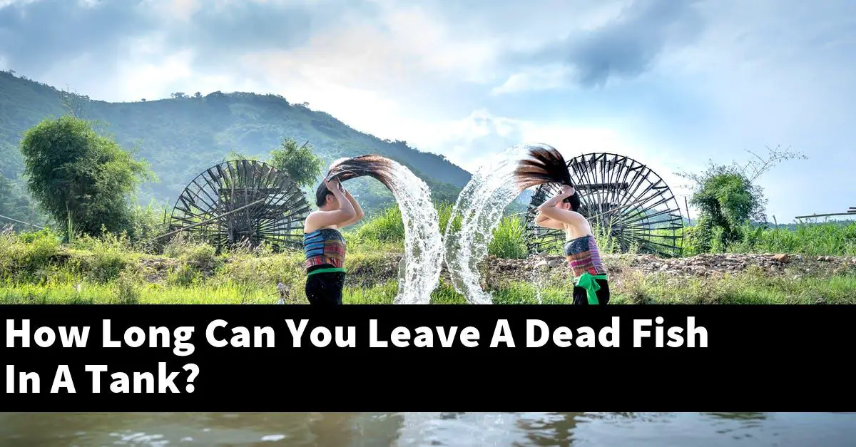 How Long Can You Leave A Dead Fish In A Tank?