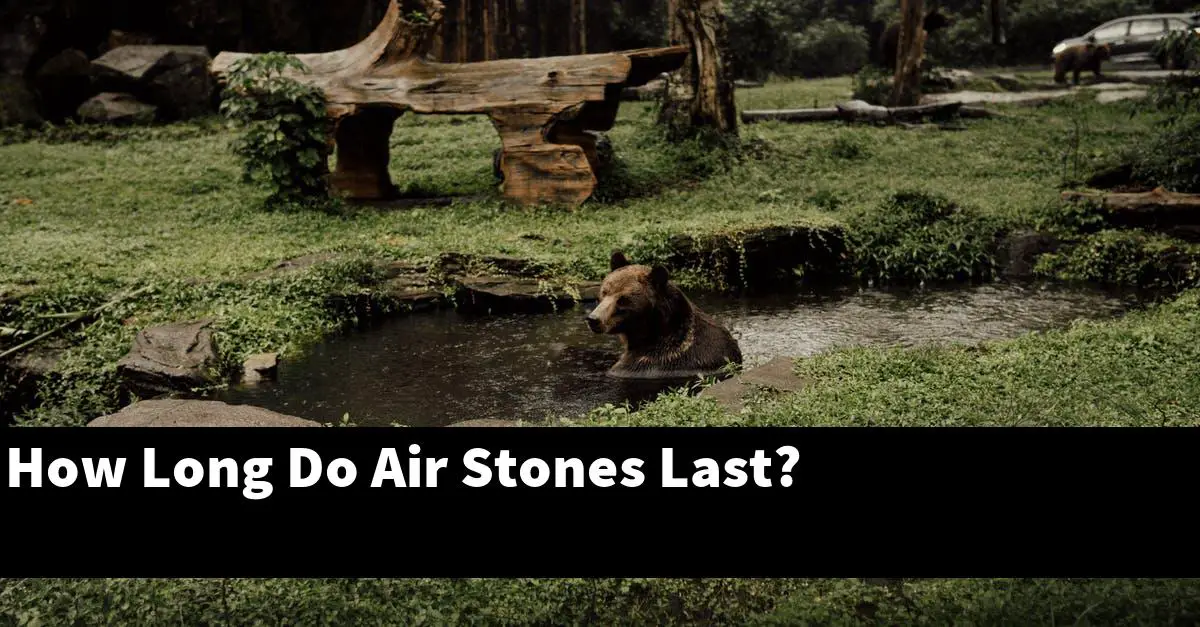 How Long Do Air Stones Last?
