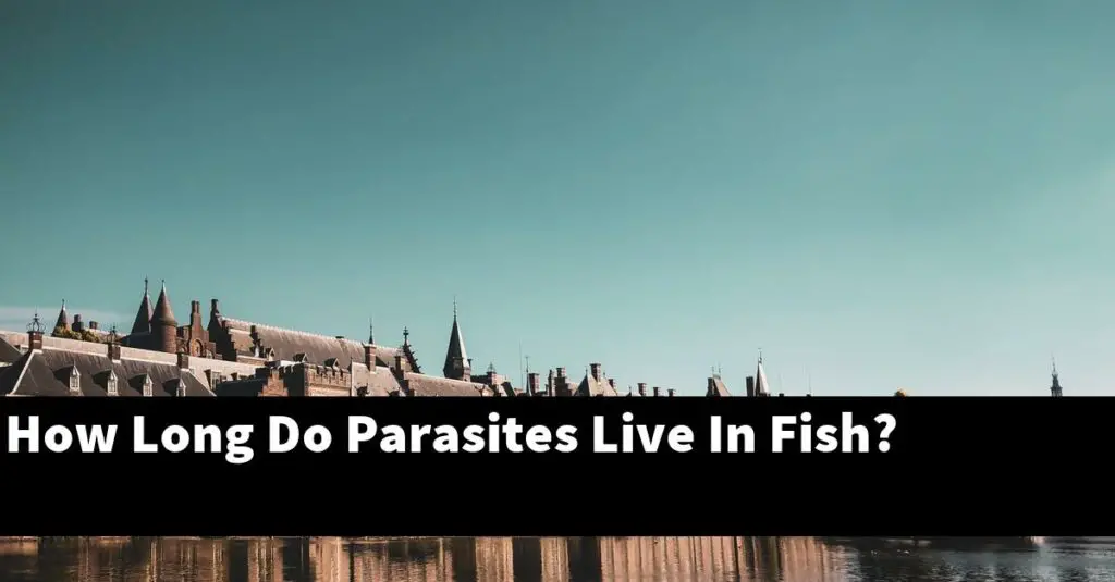 How Long Do Parasites Live In Fish? [2024 Guide] Gold Koi Fish