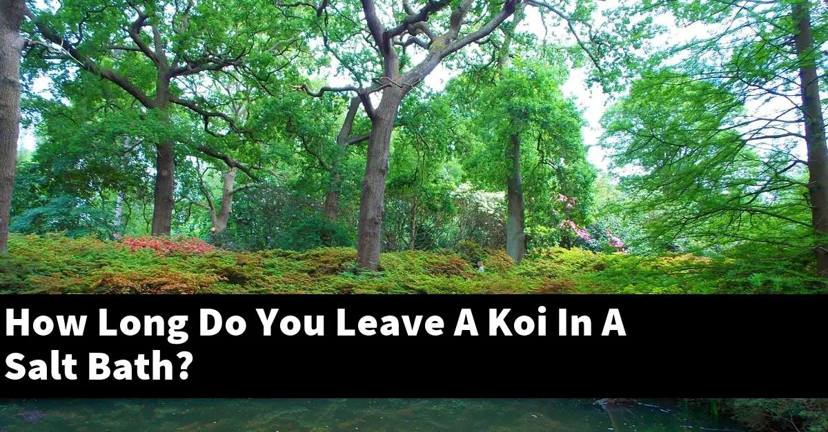 How Long Do You Leave A Koi In A Salt Bath?