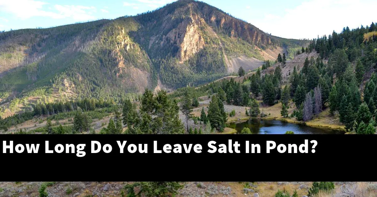 How Long Do You Leave Salt In Pond?