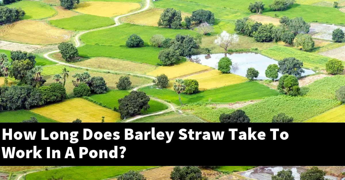How Long Does Barley Straw Take To Work In A Pond?