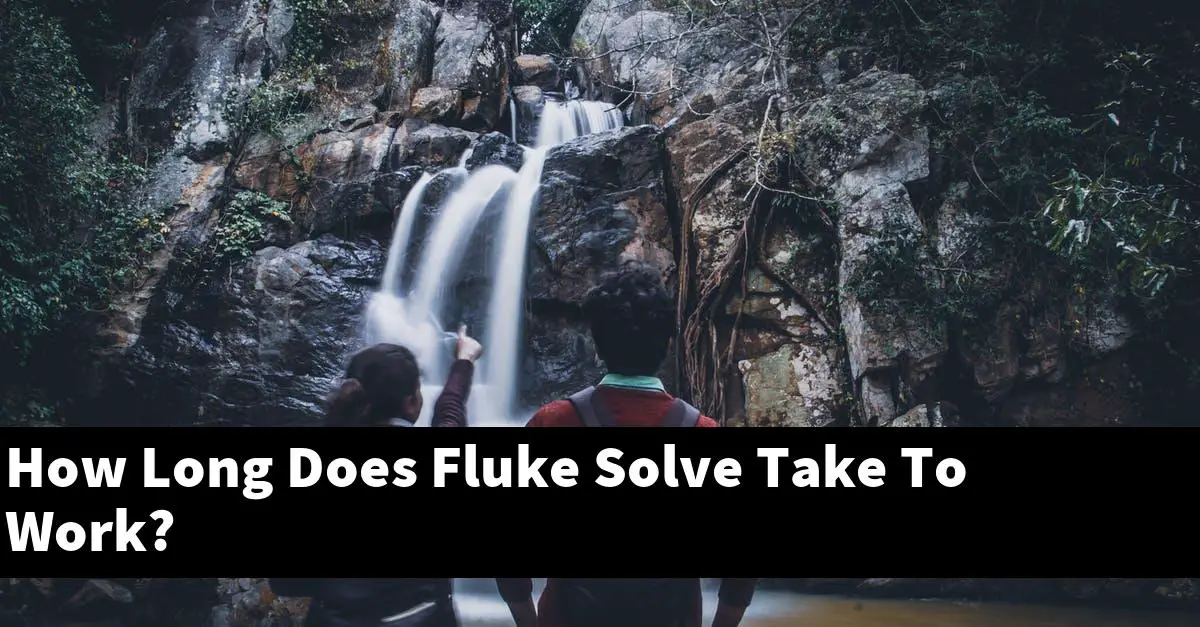 How Long Does Fluke Solve Take To Work?