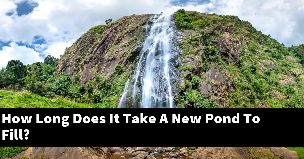 How Long Does It Take A New Pond To Fill?