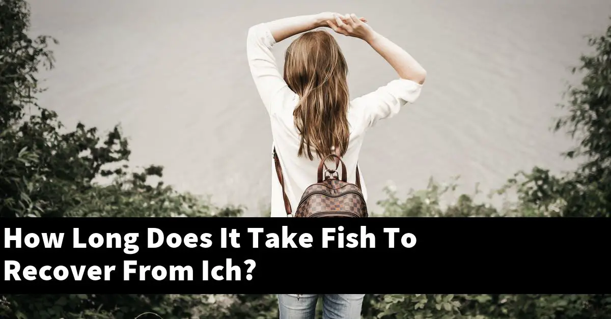 How Long Does It Take Fish To Recover From Ich?