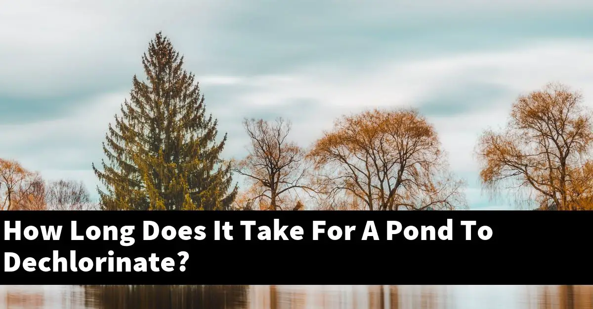 How Long Does It Take For A Pond To Dechlorinate?