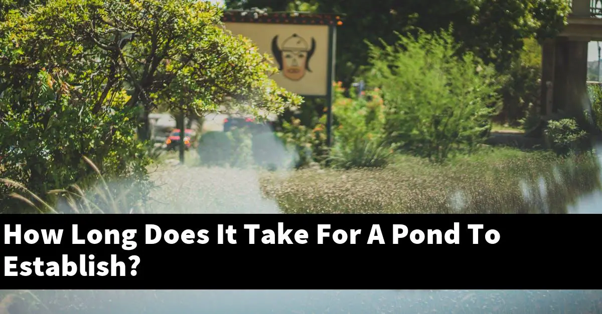 How Long Does It Take For A Pond To Establish?