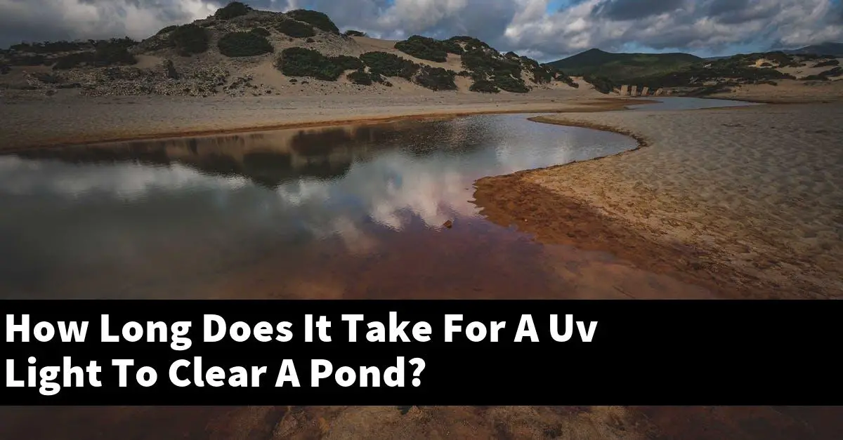 How Long Does It Take For A Uv Light To Clear A Pond?