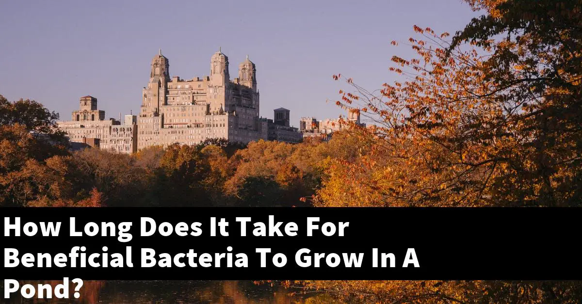 How Long Does It Take For Beneficial Bacteria To Grow In A Pond?