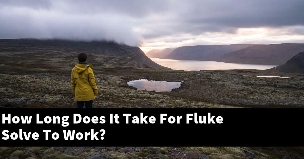 How Long Does It Take For Fluke Solve To Work?