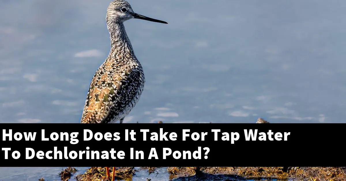 How Long Does It Take For Tap Water To Dechlorinate In A Pond?