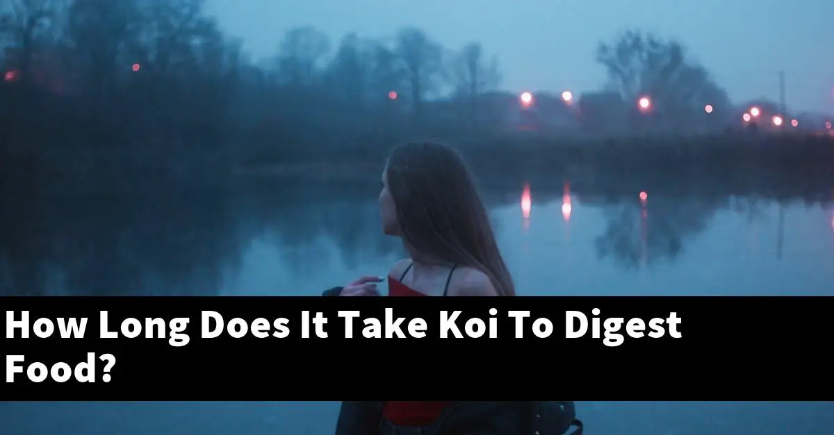 How Long Does It Take Koi To Digest Food?