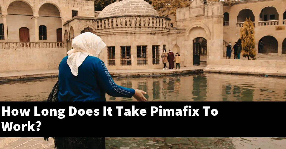 How Long Does It Take Pimafix To Work?