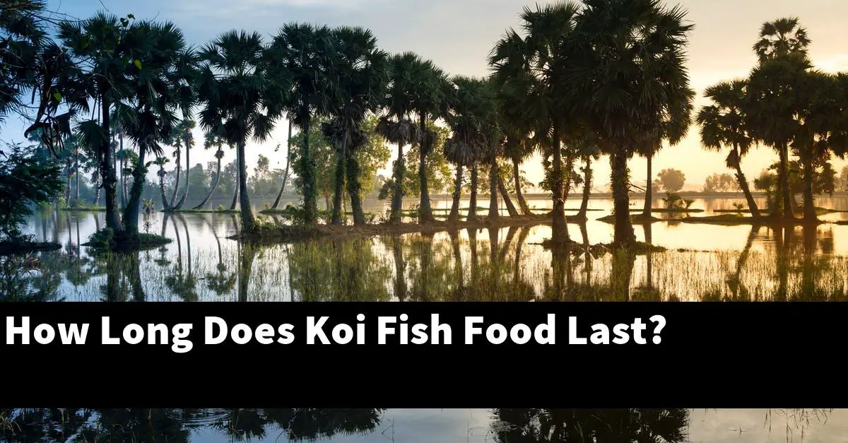 How Long Does Koi Fish Food Last?
