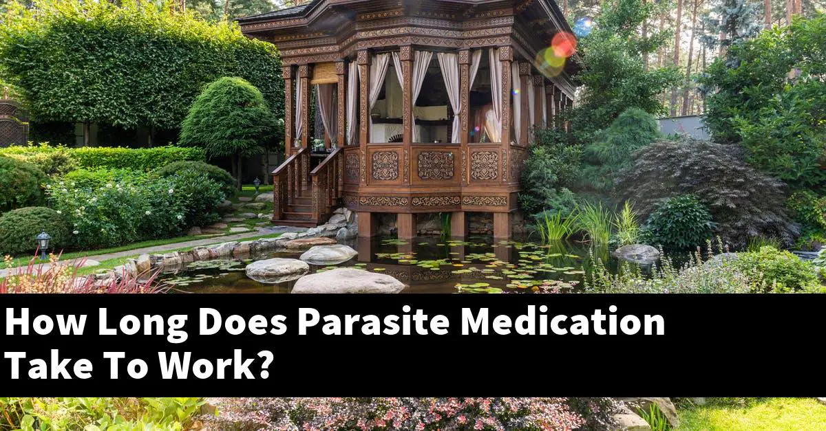 How Long Does Parasite Medication Take To Work?