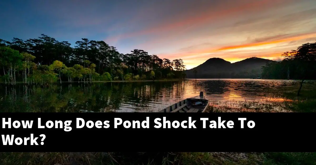 How Long Does Pond Shock Take To Work?
