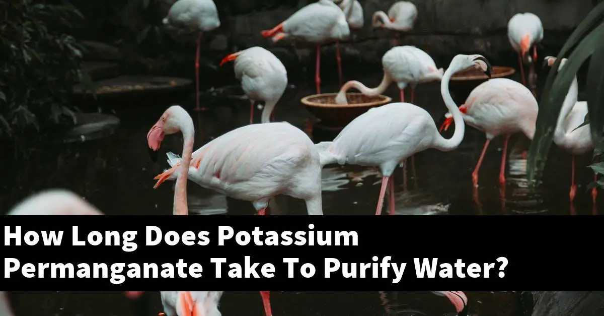 How Long Does Potassium Permanganate Take To Purify Water?