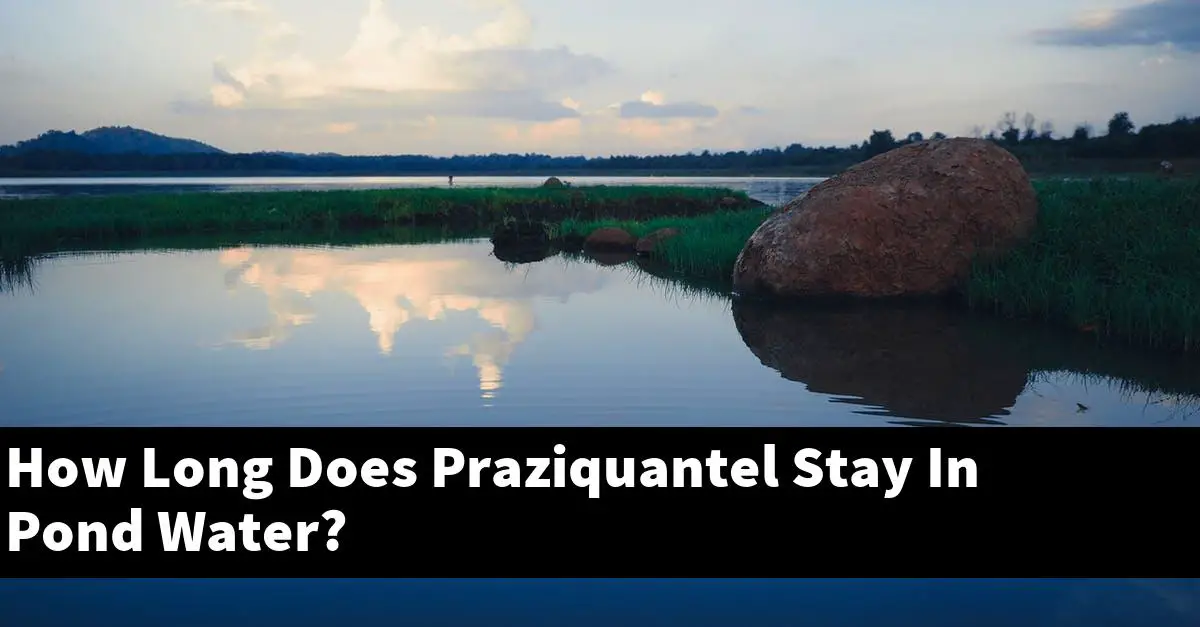 How Long Does Praziquantel Stay In Pond Water?