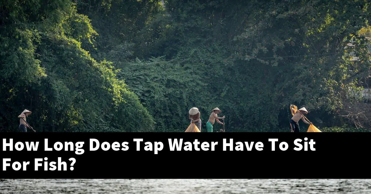 How Long Does Tap Water Have To Sit For Fish?