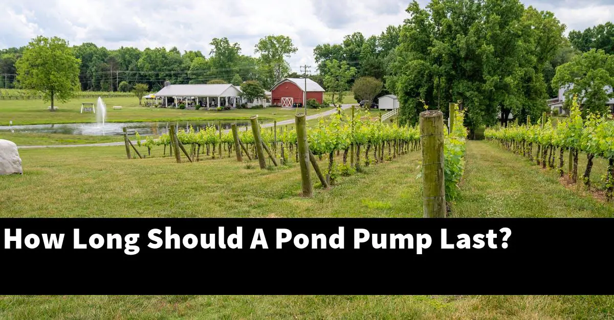 How Long Should A Pond Pump Last?