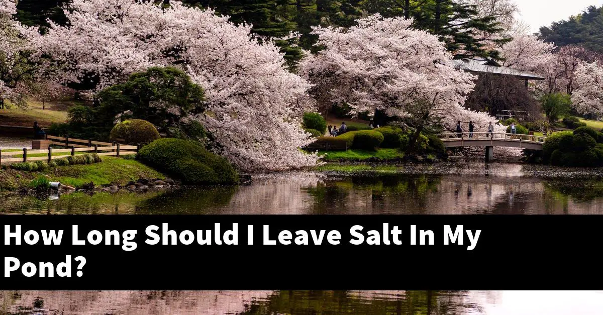 How Long Should I Leave Salt In My Pond?