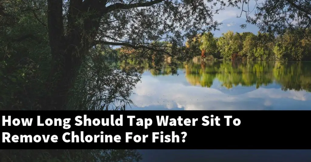How Long Should Tap Water Sit To Remove Chlorine For Fish? [2024 Guide