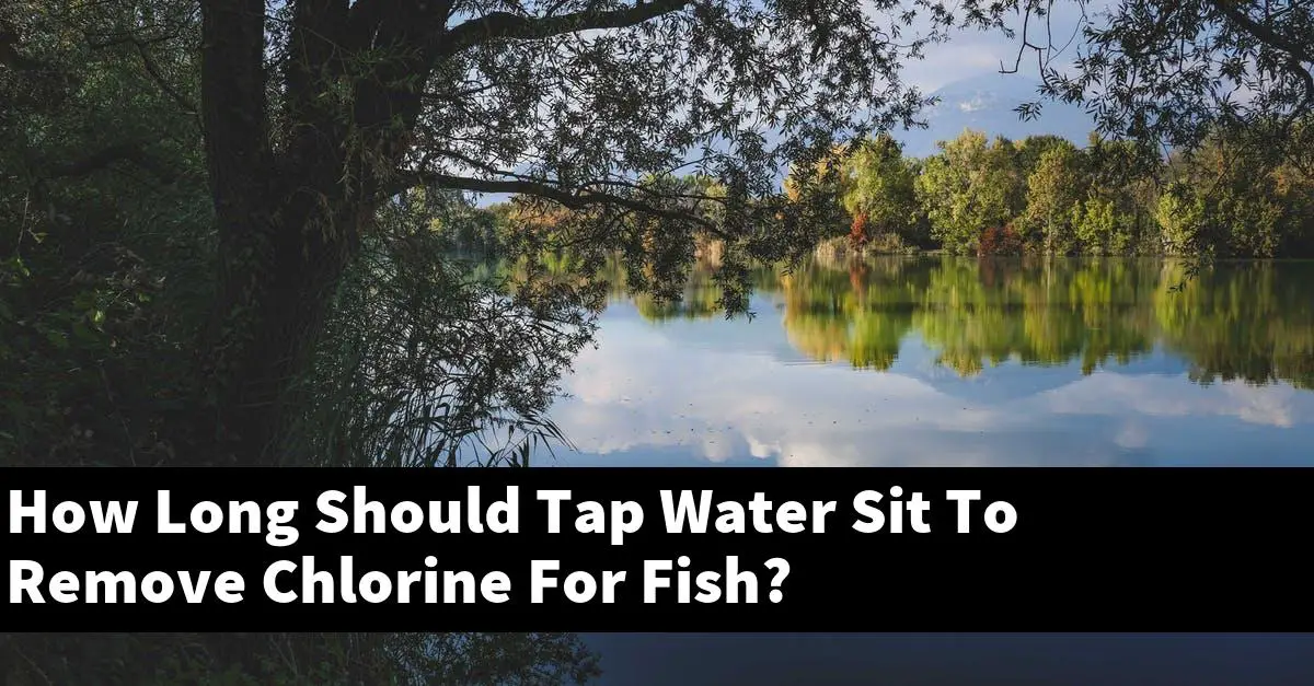 How Long Should Tap Water Sit To Remove Chlorine For Fish?