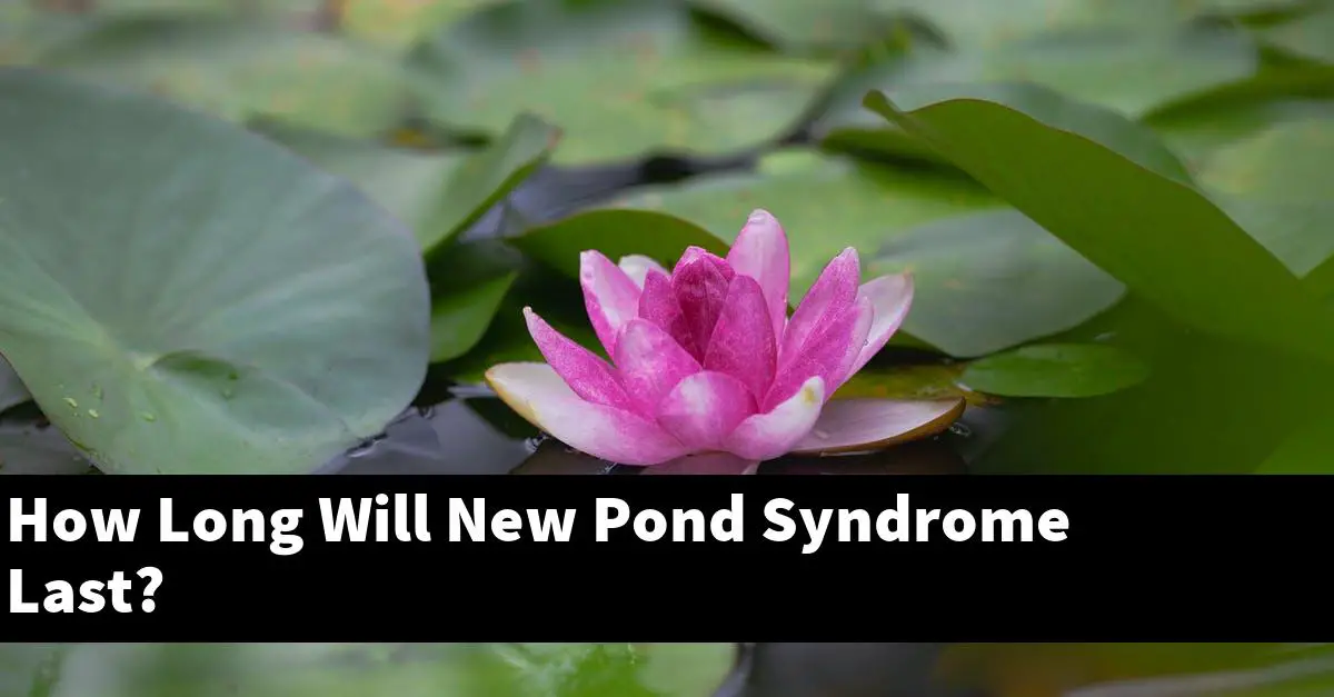 How Long Will New Pond Syndrome Last?