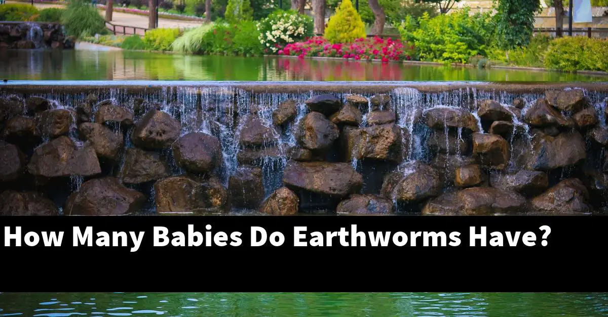 How Many Babies Do Earthworms Have?