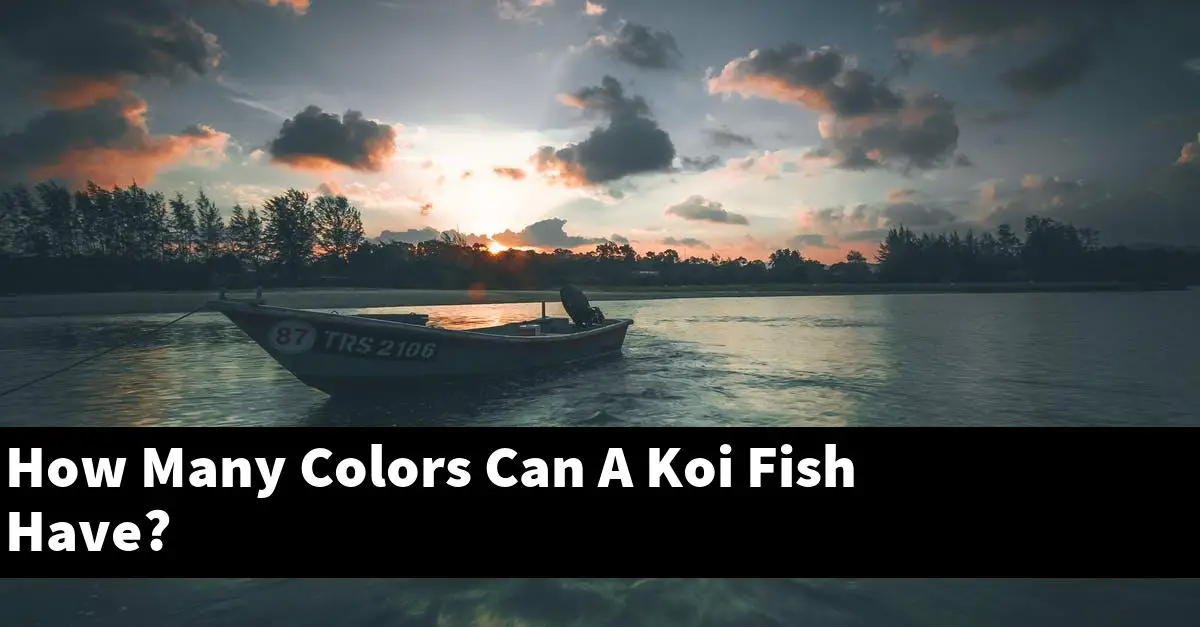 How Many Colors Can A Koi Fish Have?