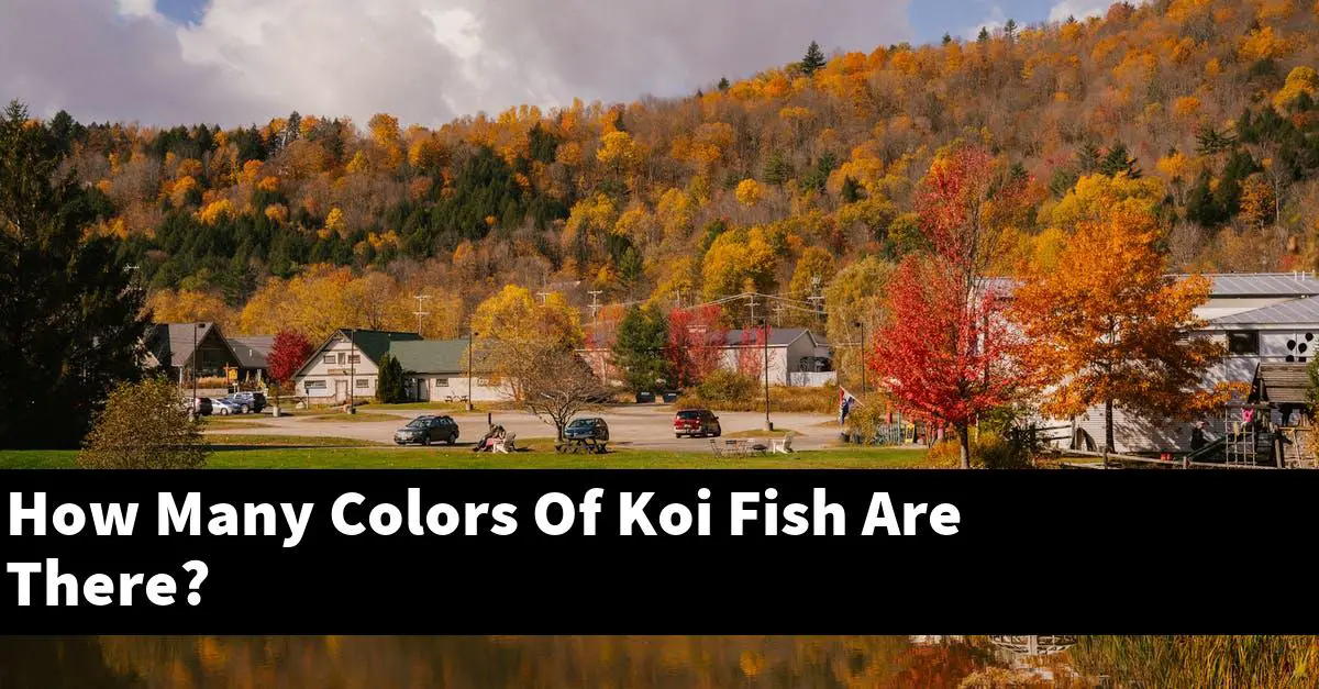 How Many Colors Of Koi Fish Are There?
