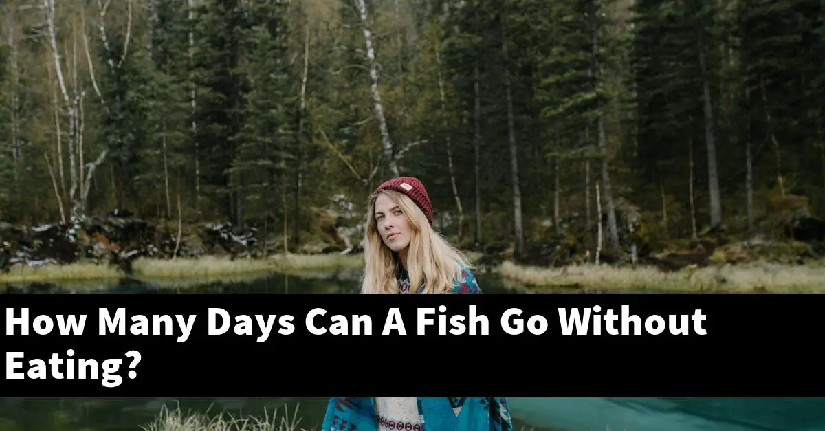 How Many Days Can A Fish Go Without Eating?