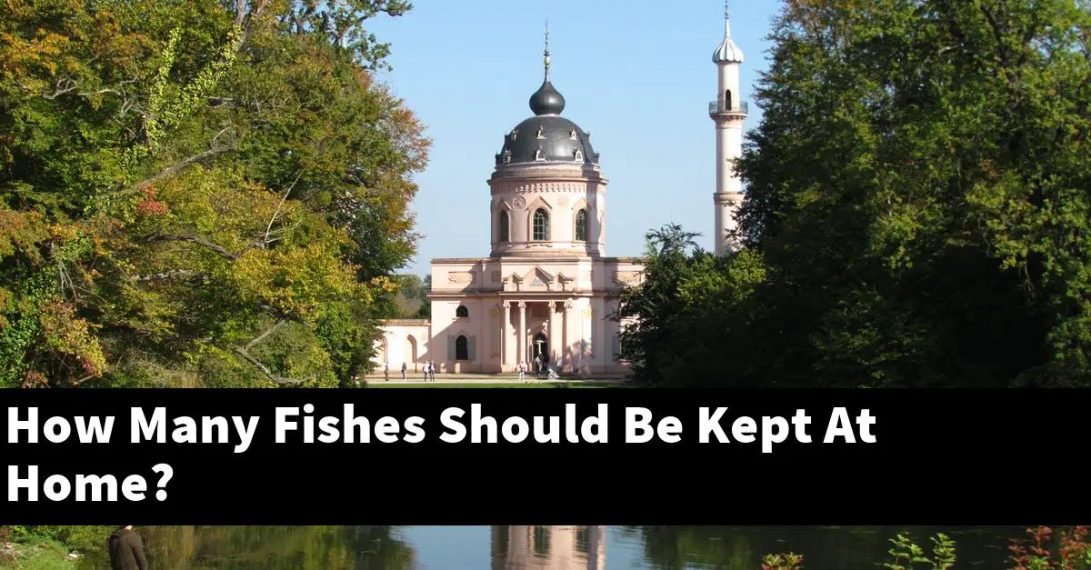 How Many Fishes Should Be Kept At Home?