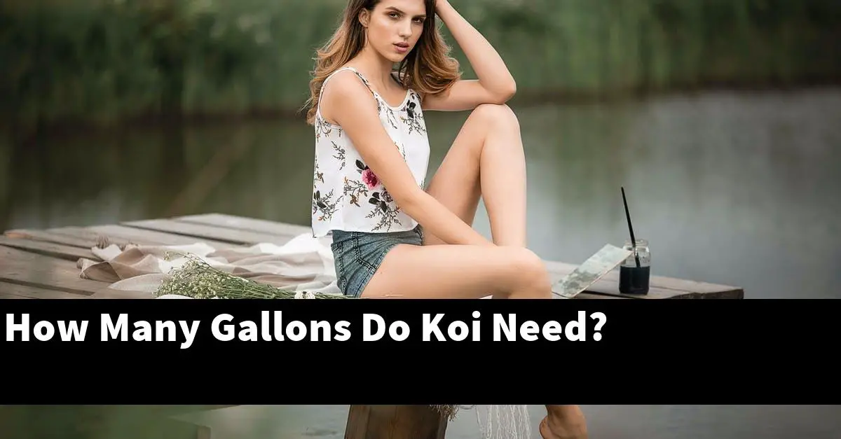 How Many Gallons Do Koi Need?