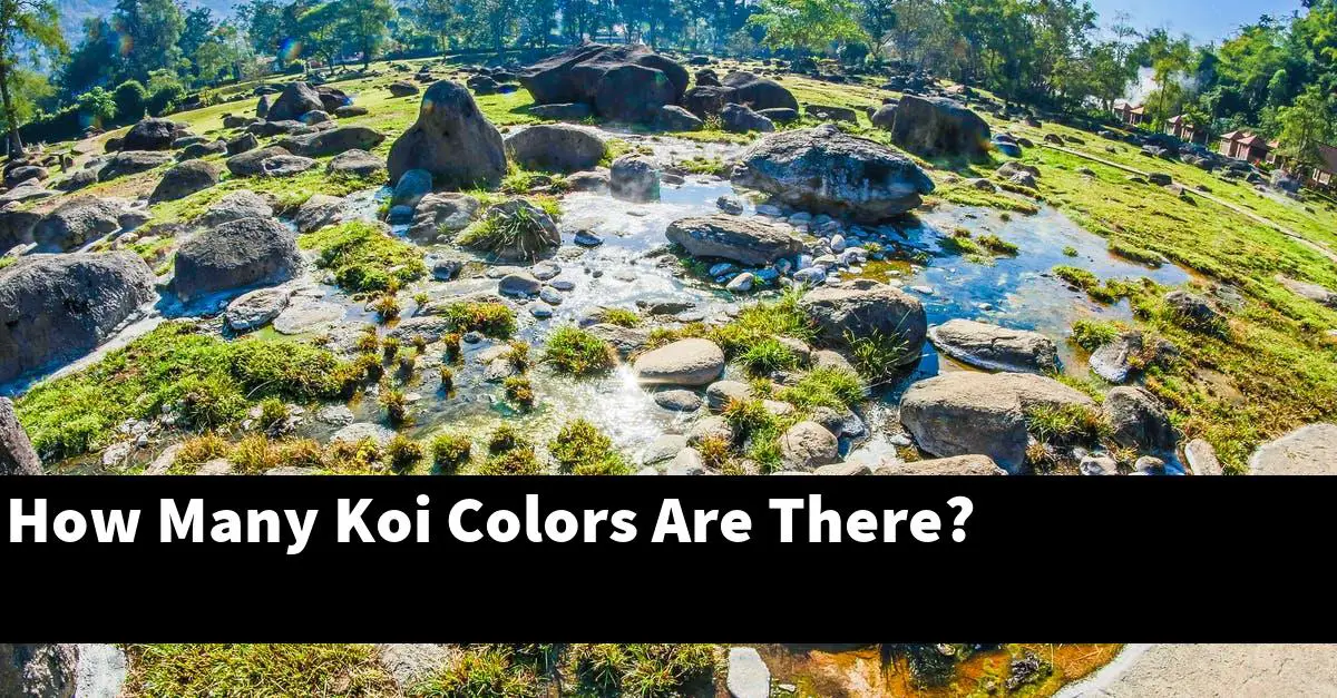 How Many Koi Colors Are There?