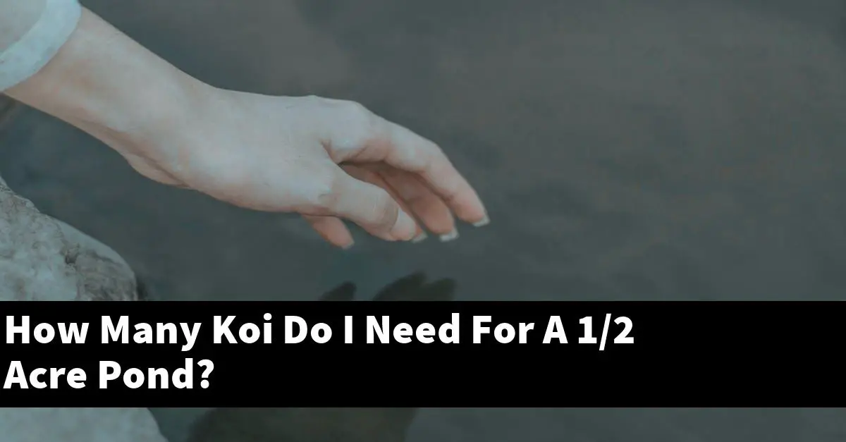 How Many Koi Do I Need For A 1/2 Acre Pond?