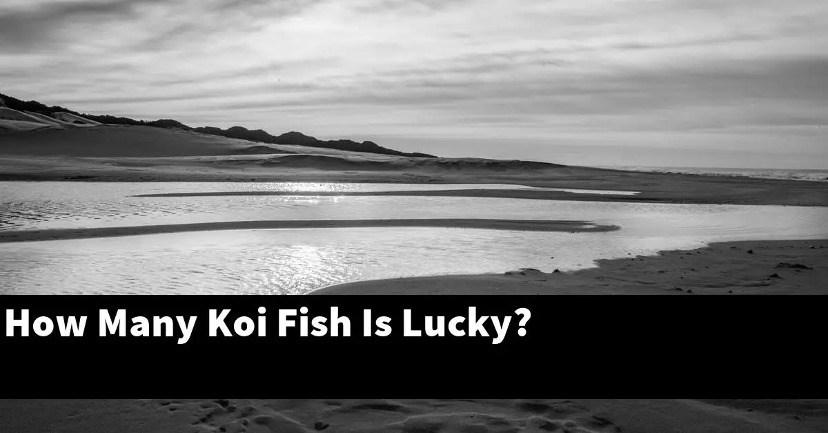 How Many Koi Fish Is Lucky?