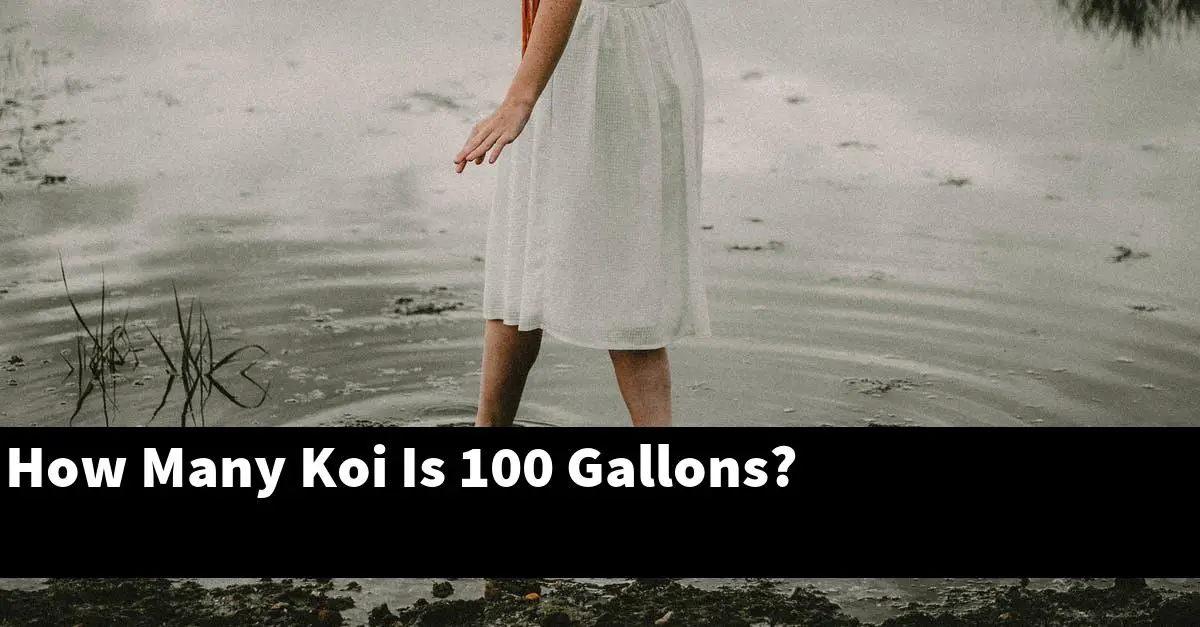 How Many Koi Is 100 Gallons?