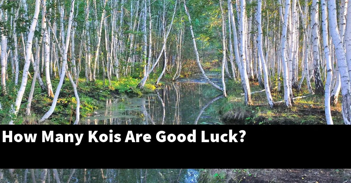 How Many Kois Are Good Luck?