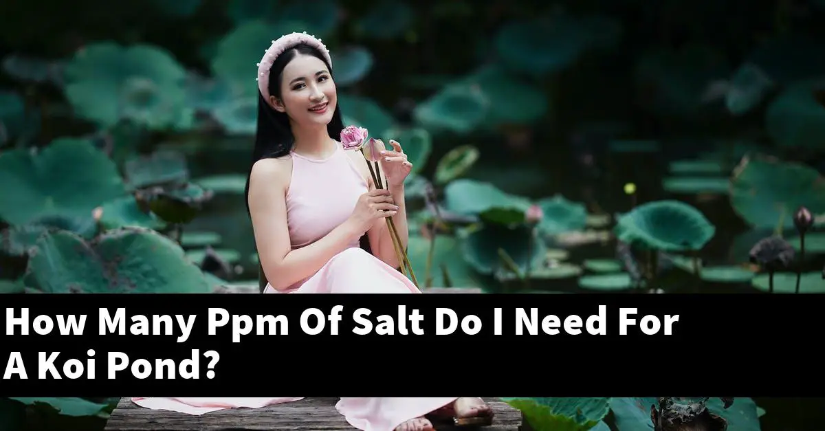 How Many Ppm Of Salt Do I Need For A Koi Pond?